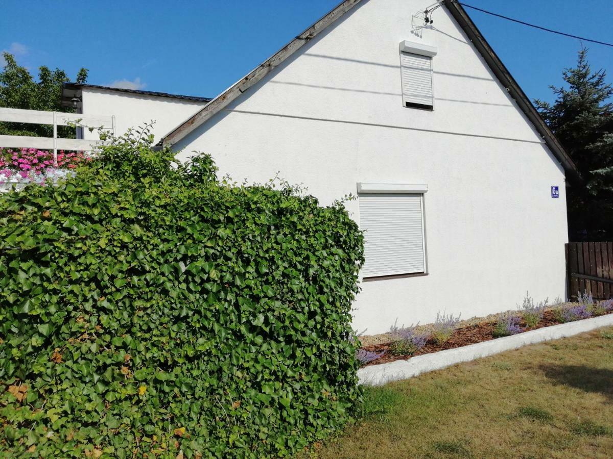 Zacisze Kalwy Apartment Exterior photo